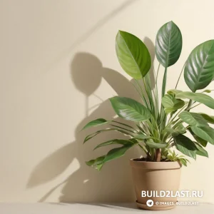 �������� � ������ � �������� �������� �� ����� ����� �� ������ � ����� �� �����.