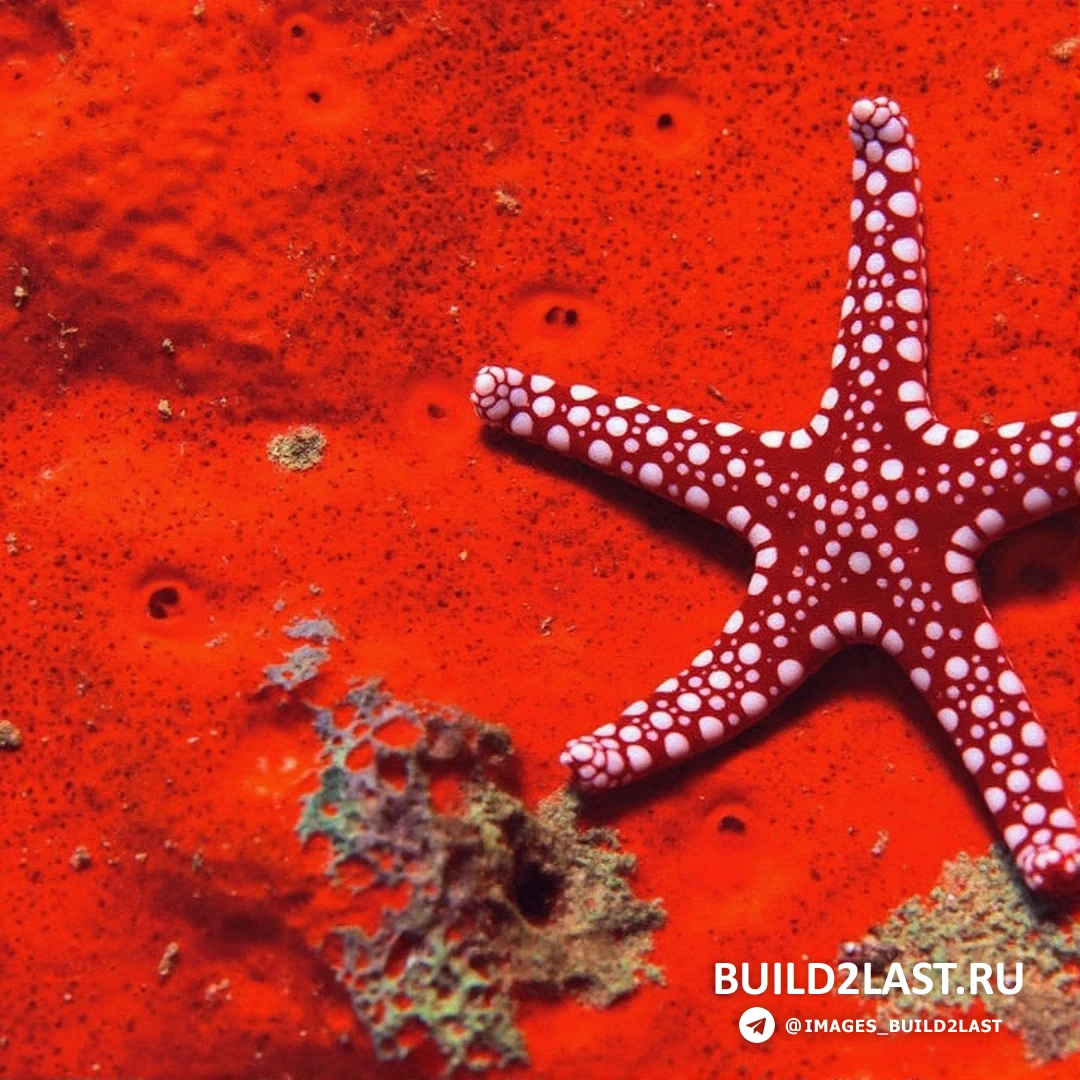 ���� � ������� ������ �� �������� ������, ��������� ������ ����������� ��������� � �������� ����������.