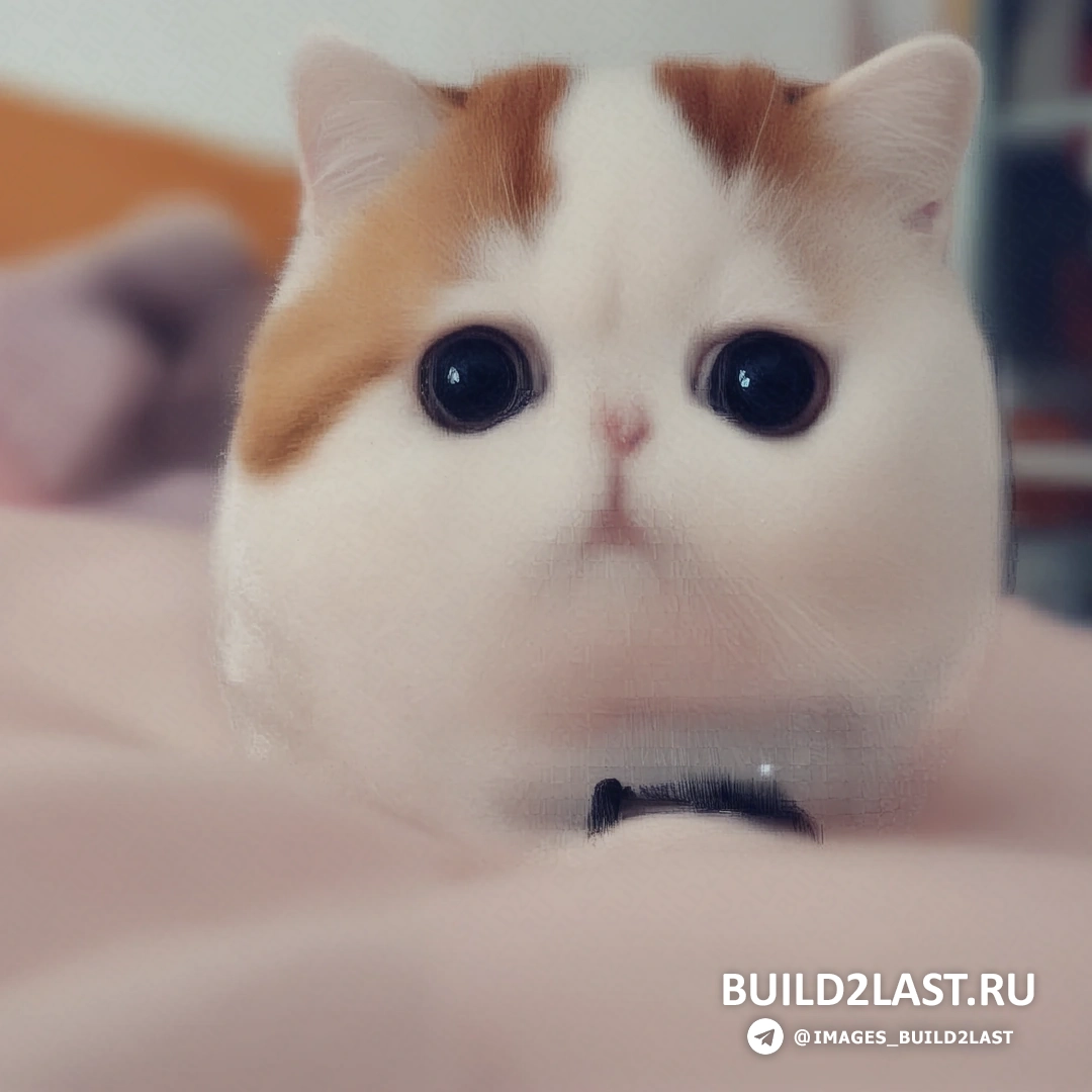 ����� � ������� ���� � ���� �� ������ ������, �� �������� ������� ���� �����.